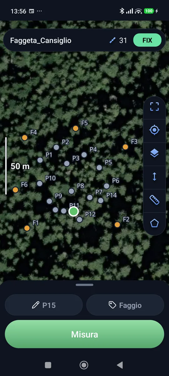 Il rilievo su foto satellitare del bosco, con nome e codice del punto e il pulsante Misura
